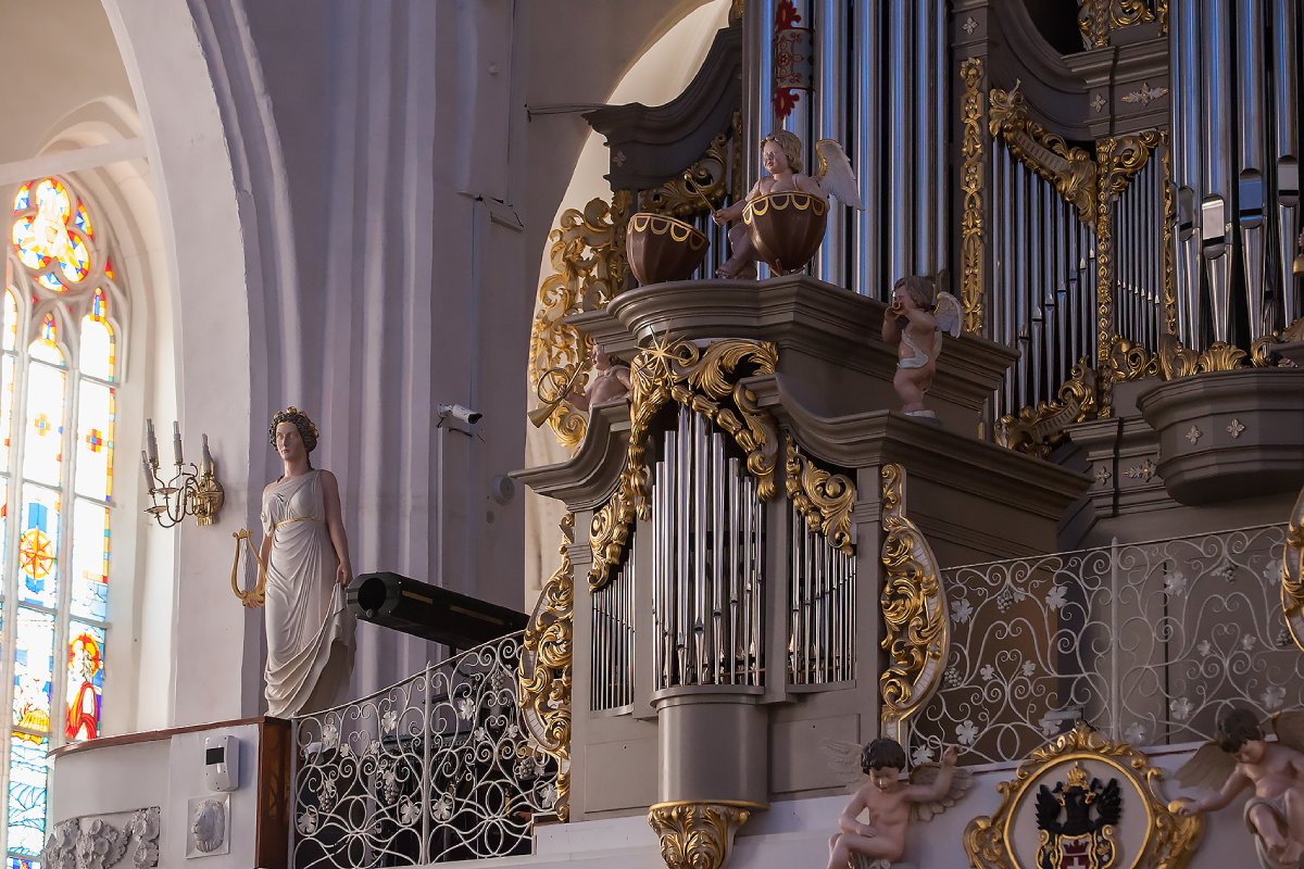 Кафедральный собор — Орган