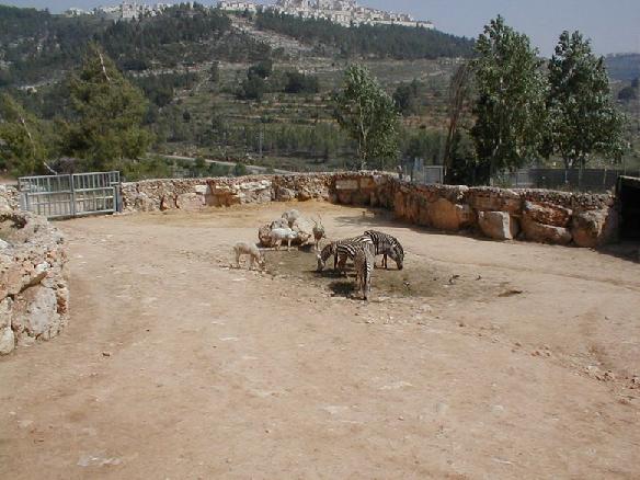 Иерусалимский зоопарк